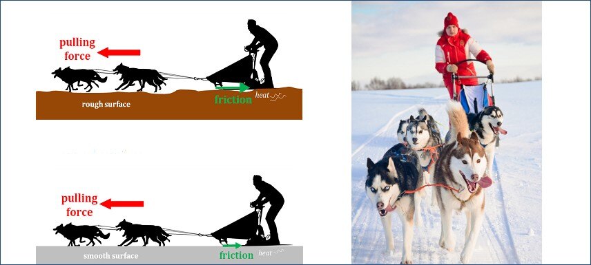 Chart of sled dogs showing pulling force and photo of sled with dogs