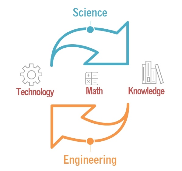 stem in cycle