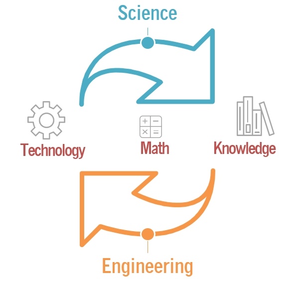 Stem in cycle new arrivals