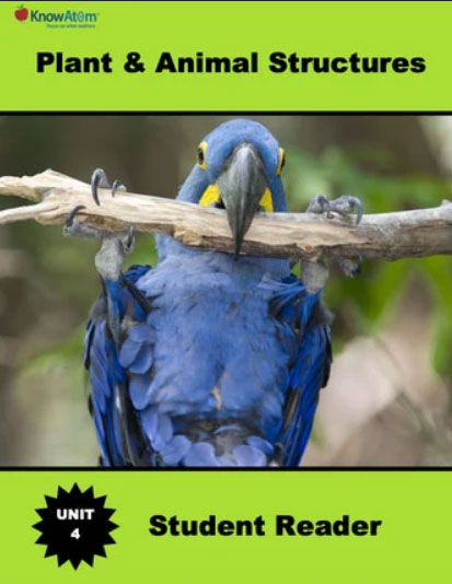 unit 4: plant & animal structures